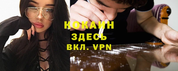прущий лед Алзамай