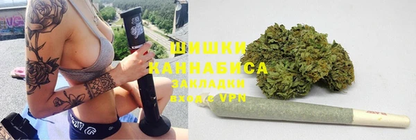 прущий лед Алзамай