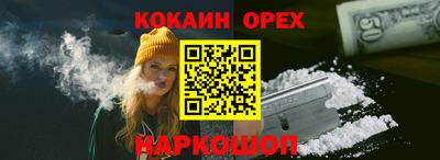 тгк Новодвинск