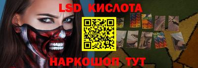 тгк Новодвинск