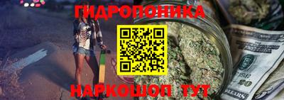 тгк Новодвинск