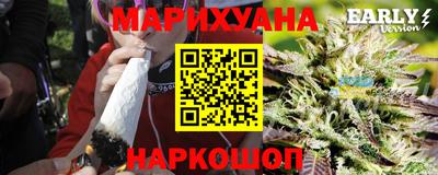 тгк Новодвинск