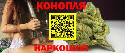 тгк Новодвинск