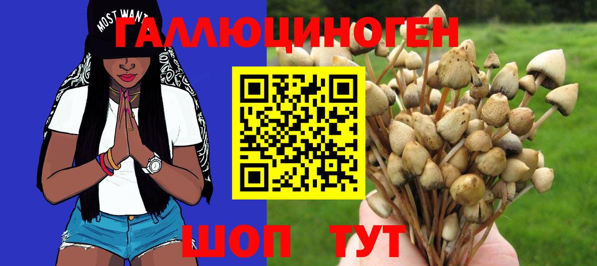 Пушкино  Псилоцибиновые грибы Magic Shrooms  Вход с VPN  Галлюциногенные грибы Psilocybine cubensis 