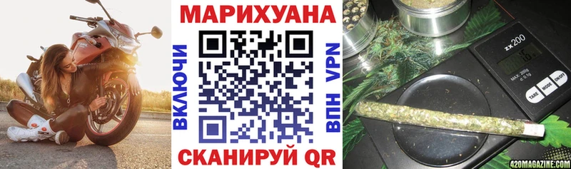 где купить наркотик  Пушкино  Канабис OG Kush 